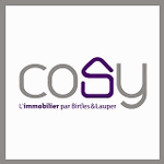 Cosy, l'immobilier par Birtles & Lauper