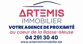 Artemis Immobilier
